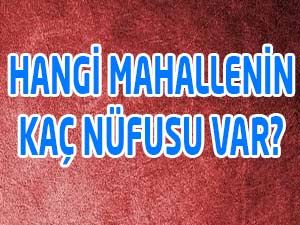 Hangi Mahallede Kaç Nüfus Var?