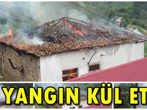 Yangın Kül Etti