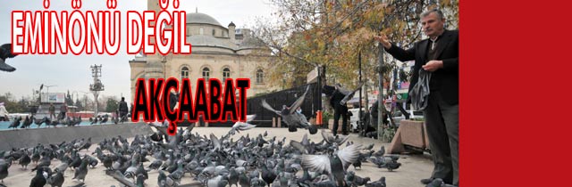 Esnafın Güvercin Sevgisi