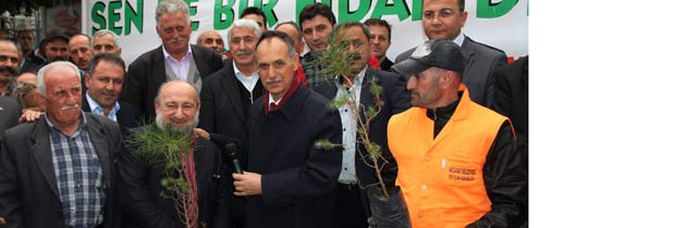 Belediyeden Fidan Dağıtımı