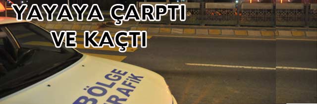 Söğütlüde Kaza 1 Yaralı