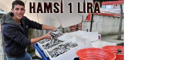 Hamsi 1 liraya Düştü
