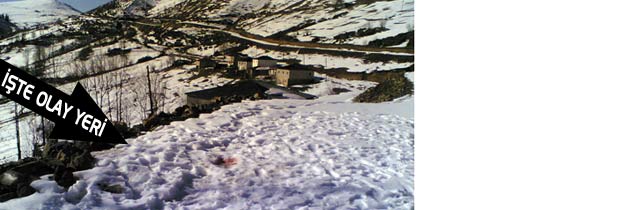 Zanlı Teslim Oldu