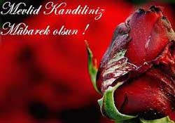 Mevlid Kandiliniz Kutlu Olsun