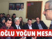 Uraloğlu seçim çalışmalarını aralıksız sürdürüyor