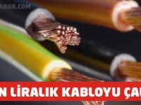 Hırsızlar Ne Çalacaklarını Şaşırdı