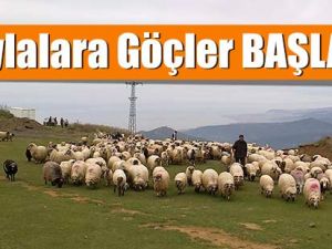Yaylalara Göçler Başladı