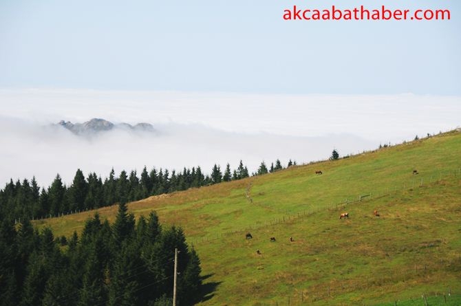 Kayabaşı Yayla Şenliği 10
