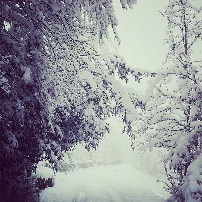 Akçaabat'ta Kar Manzaraları 4