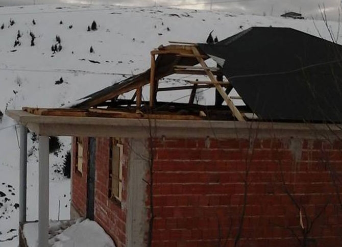 Rüzgar Yıktı Geçti 3