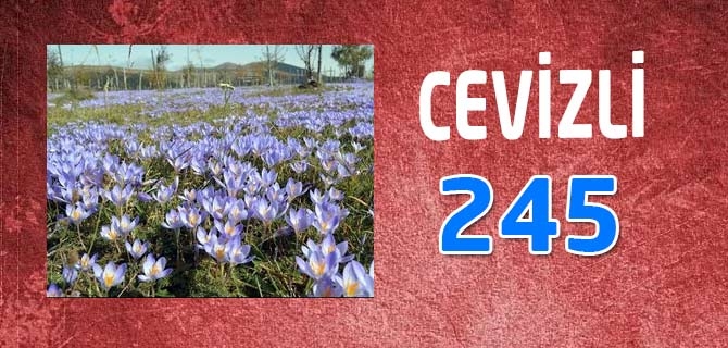 Hangi Mahallede Kaç Nüfus Var? 14