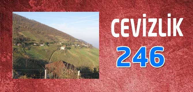 Hangi Mahallede Kaç Nüfus Var? 15