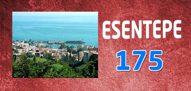 Hangi Mahallede Kaç Nüfus Var? 31