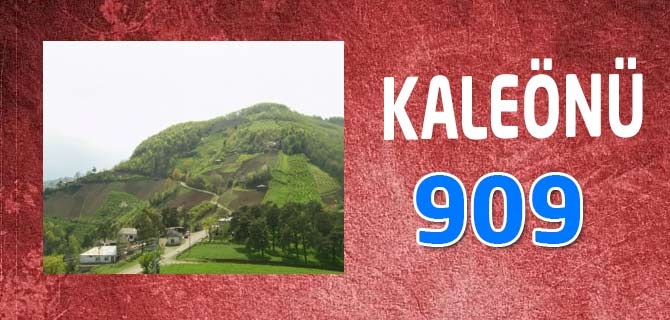 Hangi Mahallede Kaç Nüfus Var? 38