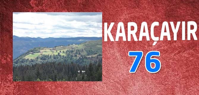 Hangi Mahallede Kaç Nüfus Var? 39