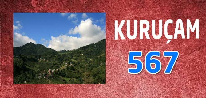 Hangi Mahallede Kaç Nüfus Var? 46