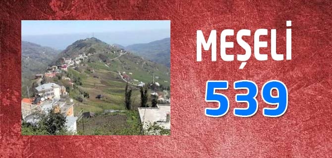 Hangi Mahallede Kaç Nüfus Var? 49