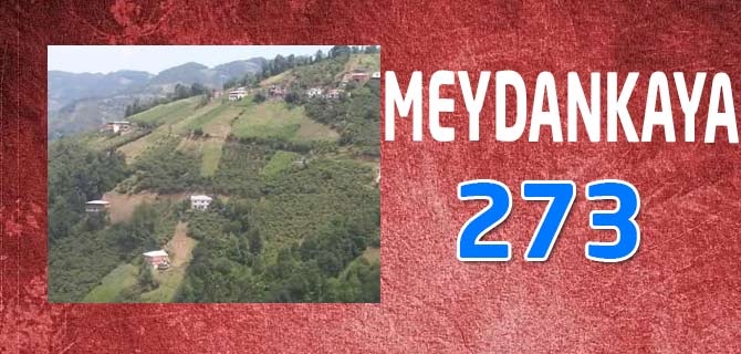 Hangi Mahallede Kaç Nüfus Var? 50