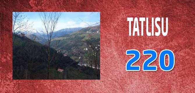 Hangi Mahallede Kaç Nüfus Var? 64