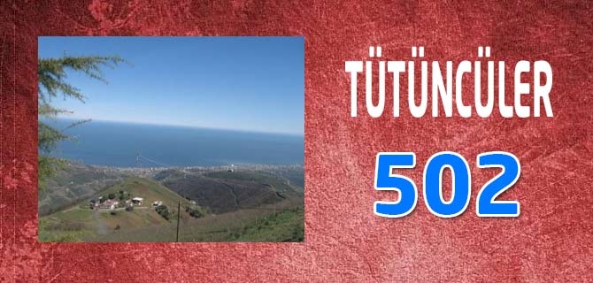 Hangi Mahallede Kaç Nüfus Var? 65