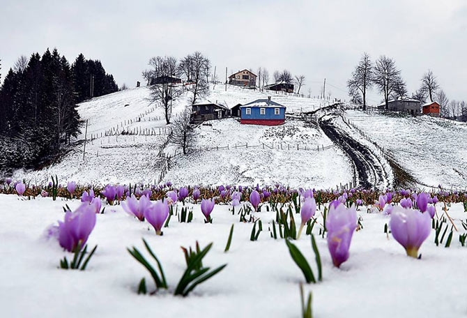 Kar Nisanda Başka Güzel 6