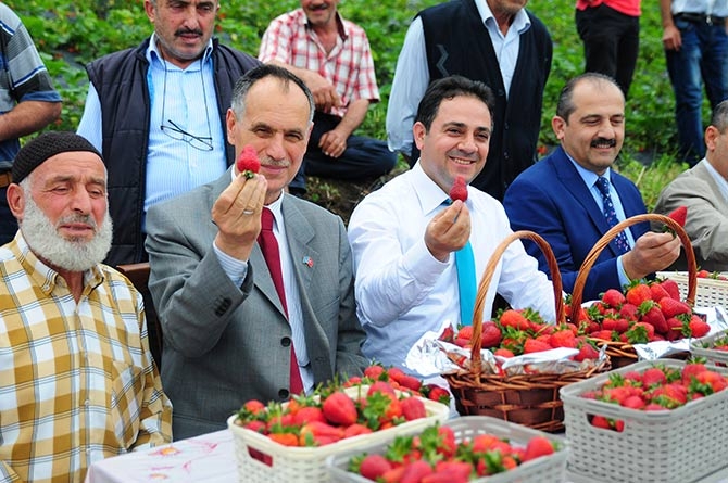 Çınarlık'ta Tarla Günü Etkinliği 1