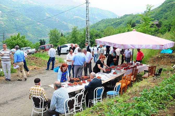 Çınarlık'ta Tarla Günü Etkinliği 12