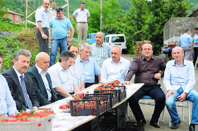 Çınarlık'ta Tarla Günü Etkinliği 2