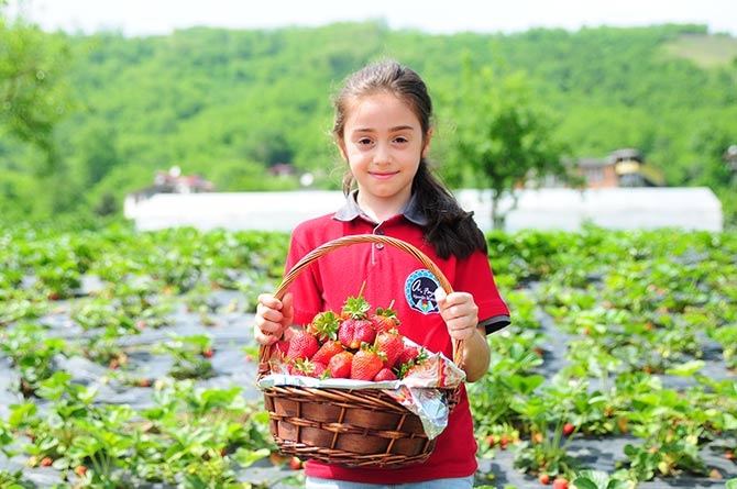 Çınarlık'ta Tarla Günü Etkinliği 7