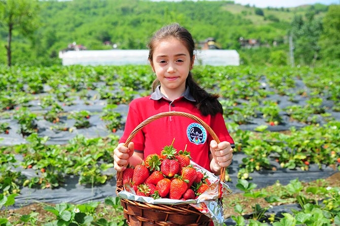 Çınarlık'ta Tarla Günü Etkinliği 8