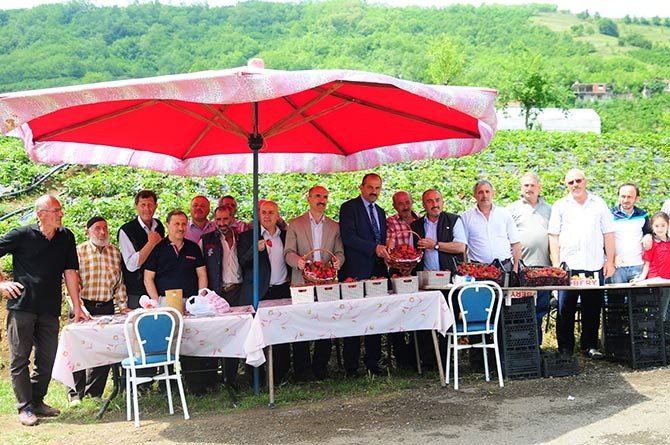 Çınarlık'ta Tarla Günü Etkinliği 9