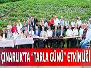 Çınarlık'ta Tarla Günü Etkinliği