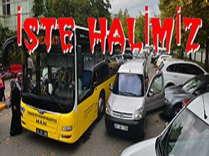 İşte Halimiz