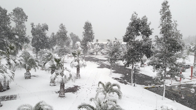 Akçaabat Beyaza Büründü 24