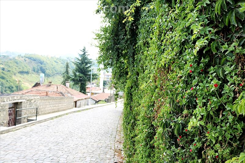 Ortamahalle'ye Farklı Bakış 32