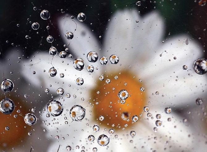 Su Perisi Konya'da 10