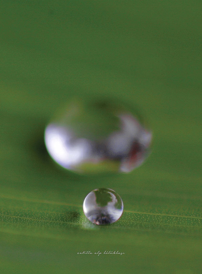 Su Perisi Konya'da 2