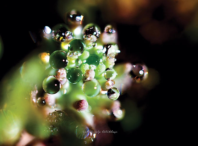 Su Perisi Konya'da 6