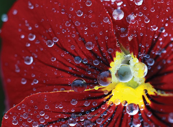 Su Perisi Konya'da 7