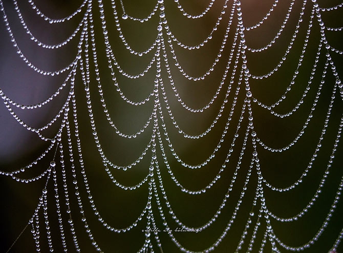 Su Perisi Konya'da 8