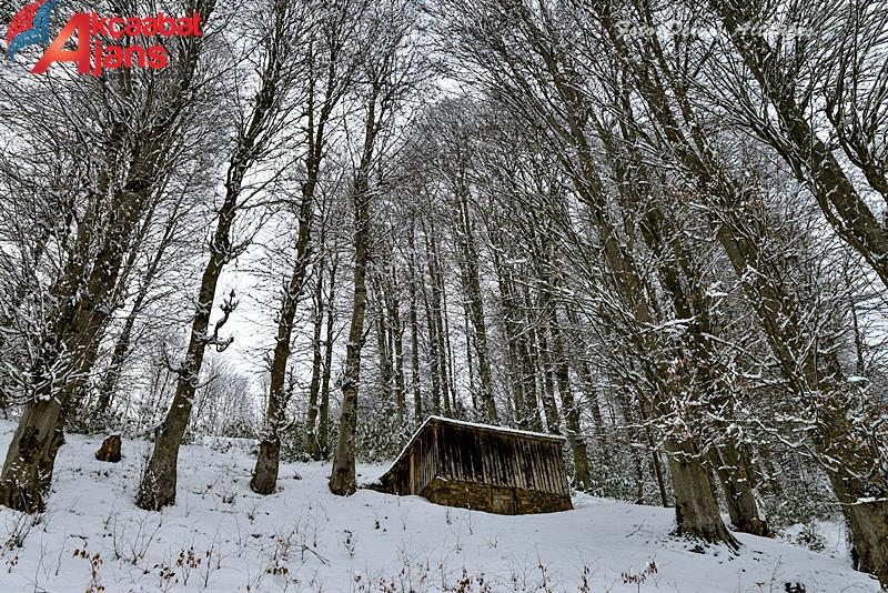 Hıdırnebi Kar Güzeli 22