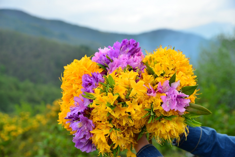 Hıdırellez Coşkusu 15