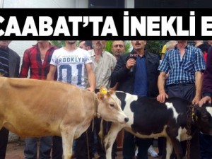 İnekli Eylem Yaptılar