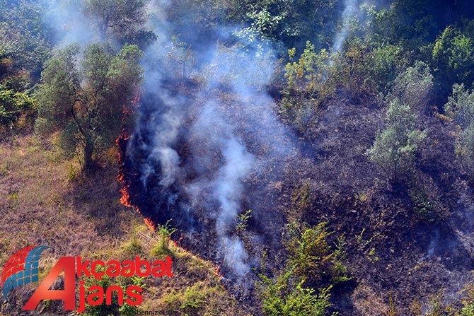Akçaabat'ta Orman Yangını 1