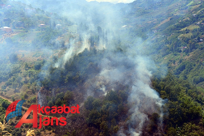 Akçaabat'ta Orman Yangını 3