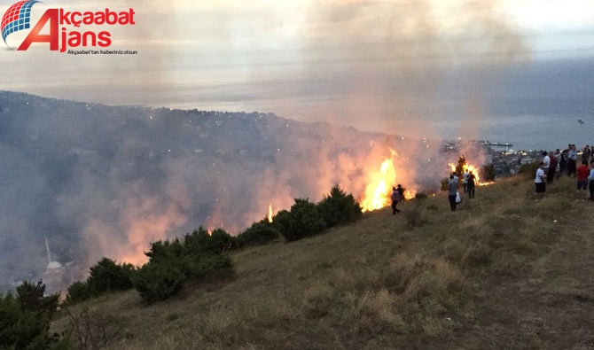 Akçaabat'ta Büyük Yangın 2