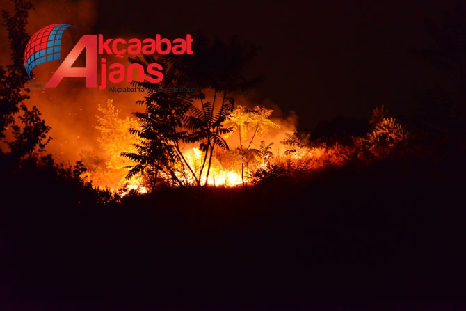 Akçaabat'ta Büyük Yangın 4