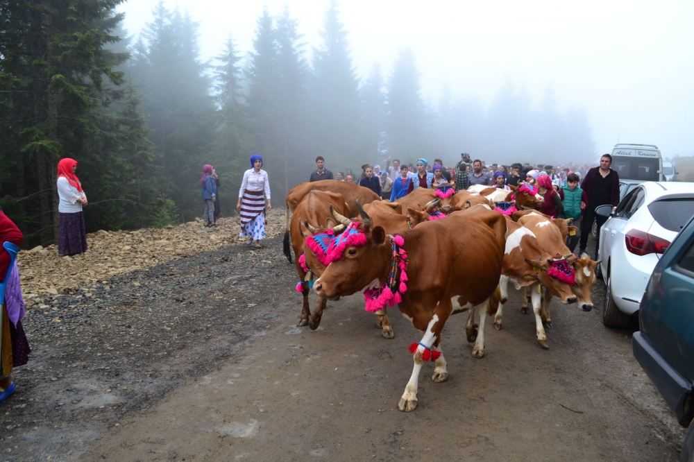 Akpınar Yayla Göçü 12
