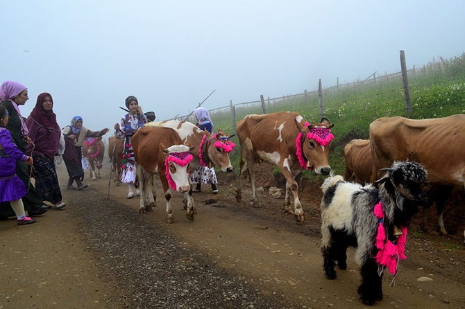 Akpınar Yayla Göçü 17