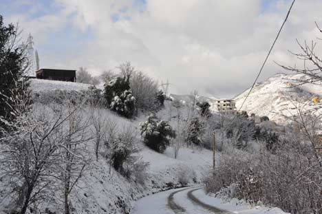 AKÇAABAT'A YILIN İLK KARI YAĞDI 4